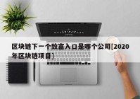 区块链下一个致富入口是哪个公司[2020年区块链项目]