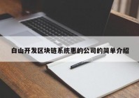 白山开发区块链系统惠的公司的简单介绍